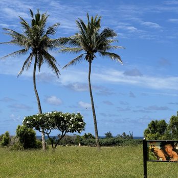 Kualoa Ranch - Tours Near Me - Kaneohe, Hawaii