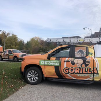 Gorilla Property Services - Gorilla's are on the job! - Pressure Washers Near Me - Barrie, Ontario