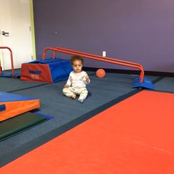 The Little Gym of Kalamazoo - TLG