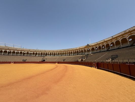 Plaza de Toros de la Real Maestranza de Caballería de Sevilla by null