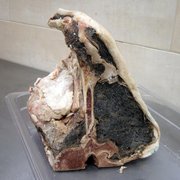 帽子 atlast butcher products71/2 ATLAS MEAT MARKET - CLOSED - Updated August 2025 - 17 Photos