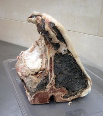 butcher products N1ジップ 44 atlast atlast butcher products