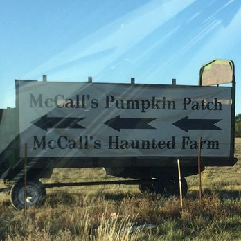 McCall Pumpkin Patch - Pumpkin Patches Near Me - Moriarty, New Mexico