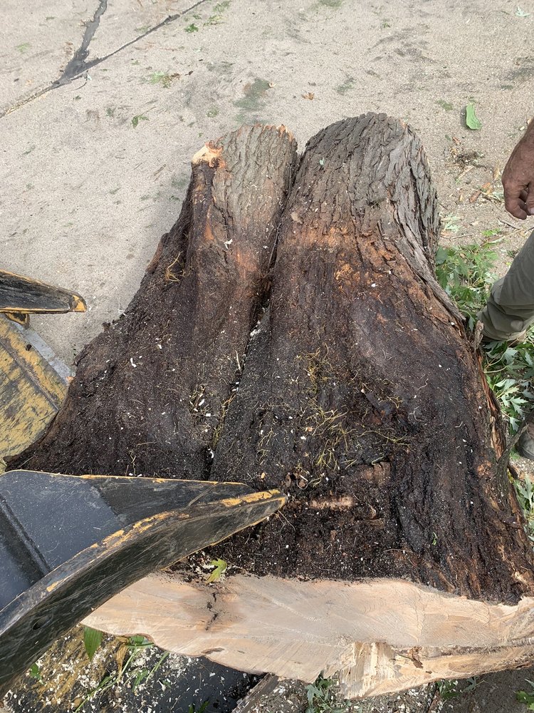 PITTS LAWN & TREE SERVICE Updated May 2024 26 Photos & 25 Reviews