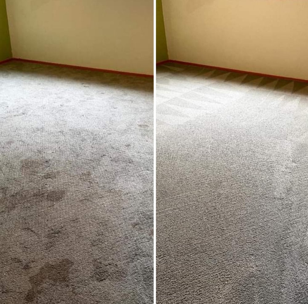 FOSTERS STEAMER CARPET CLEANING Updated August 2024 45 Photos San