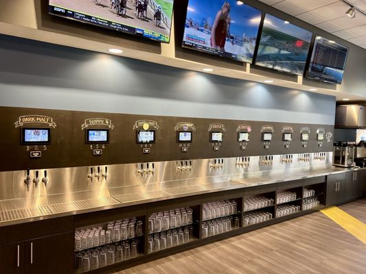 WOLVERINE PICKLEBALL - Updated January 2025 - 23 Photos - 235 Metty Dr