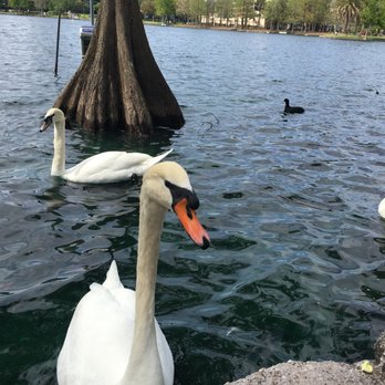 Lake Eola Park - Parks Near Me - Orlando, Florida