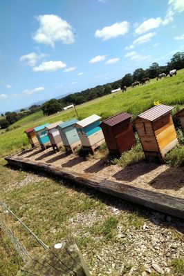 The Farm Byron Bay by null