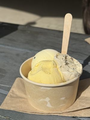 Daintree Ice Cream Company by null