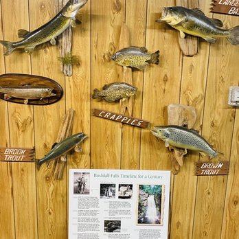 Bushkill Falls - Local species exhibit - Tours Near Me - Bushkill, Pennsylvania