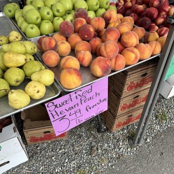 Maple Valley Farmers' Market - Huge peaches - Farmers Market Near Me - Maple Valley, Washington Maple Valley Farmers' Market - Huge peaches - Farmers Market Near Me - Maple Valley, Washington