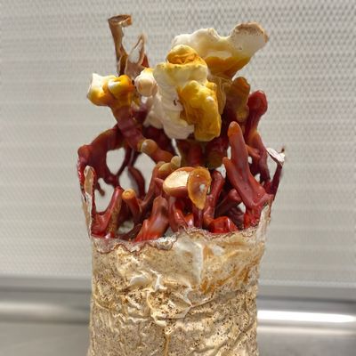 BeShroomed Farms by null