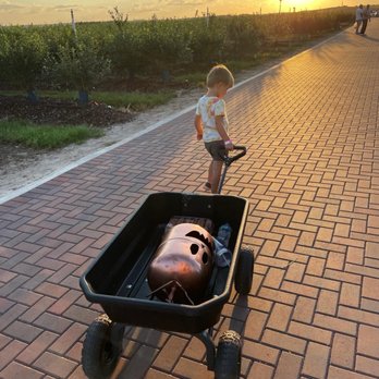 Southern Hill Farms - Forever pumpkin & wagon rentals. - Fruits & Veggies Near Me - Clermont, Florida Southern Hill Farms - Forever pumpkin & wagon rentals. - Fruits & Veggies Near Me - Clermont, Florida