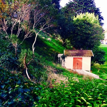 Russian Hill Park - More Beautiful SF Trees - Parks Near Me