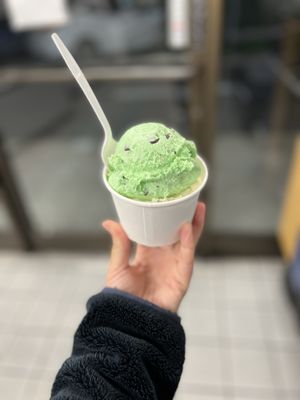 Double Rainbow Ice Cream by null