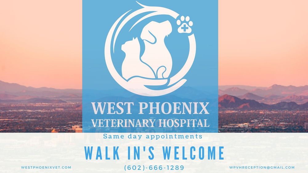 WEST PHOENIX VETERINARY HOSPITAL 26 Photos & 28 Reviews 6530 W Indian School Rd, Phoenix