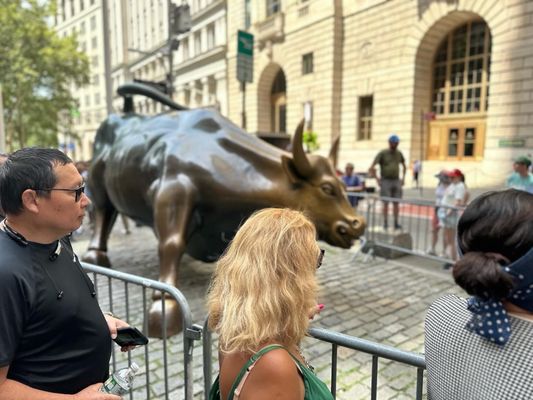 Charging Bull by null