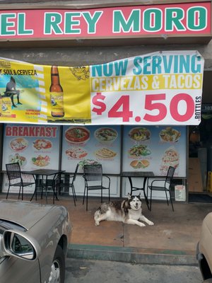 El Rey Moro Taco Shop by null