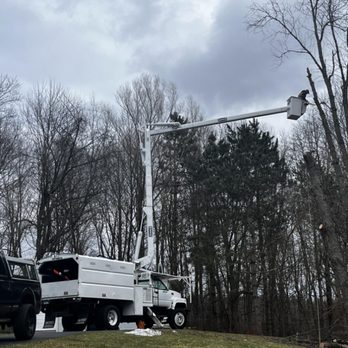 Bour Grounds Tree Service - Tree Services Near Me Bour Grounds Tree Service - Tree Services Near Me
