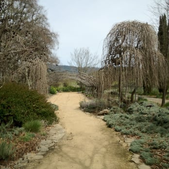 Campovida - Winter in the garden. - Wineries Near Me - Hopland, California Campovida - Winter in the garden. - Wineries Near Me - Hopland, California