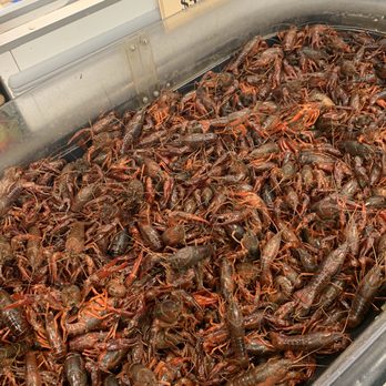88 Ranch Marketplace - Crawfish 5.88/lb - Grocery Near Me - Temecula, California 88 Ranch Marketplace - Crawfish 5.88/lb - Grocery Near Me - Temecula, California
