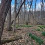 Photo of Warner Parks Nature Center