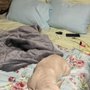 Blue Muscle French Bulldogs