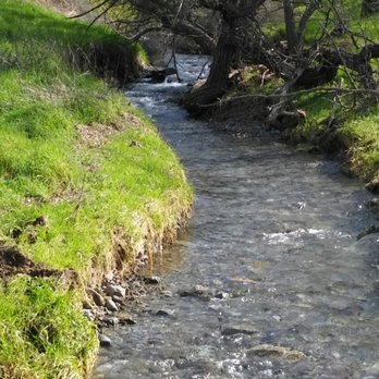 Mount Diablo State Park - One of many streams you will see - Parks Near Me - Clayton, California Mount Diablo State Park - One of many streams you will see - Parks Near Me - Clayton, California