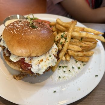Tavola Trattoria - Chicken Parmesan sandwich - Italian Near Me - Jacksonville, Florida Tavola Trattoria - Chicken Parmesan sandwich - Italian Near Me - Jacksonville, Florida