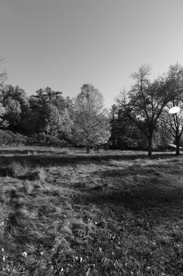 Boyd Conservation Park by null