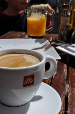 Café 4 Gatos by null