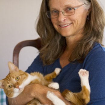 Phoenix Veterinary Imaging & Mobile Services - Veterinarians Near Me - Phoenix, Arizona Phoenix Veterinary Imaging & Mobile Services - Veterinarians Near Me - Phoenix, Arizona