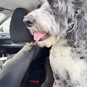 PetSmart - Pet Stores Near Me - Sacramento, California