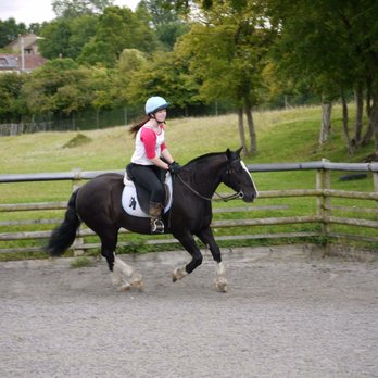 Clack Mill Riding Stables - Sammy - Horseback Riding Near Me - Bristol, BST