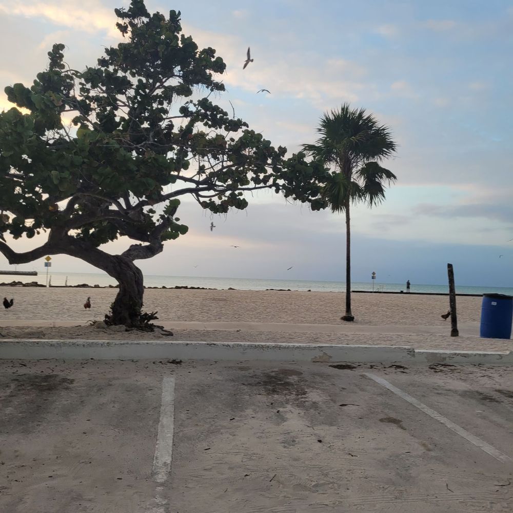 Key West Half Marathon - Beautiful views - Festivals Near Me Key West Half Marathon - Beautiful views - Festivals Near Me