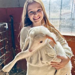 Buffalo Creek Farm and Creamery