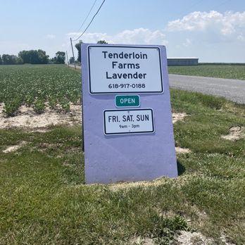 Tenderloin Farms - Easy to find - Pick Your Own Farms Near Me - Edwardsville, Illinois Tenderloin Farms - Easy to find - Pick Your Own Farms Near Me - Edwardsville, Illinois