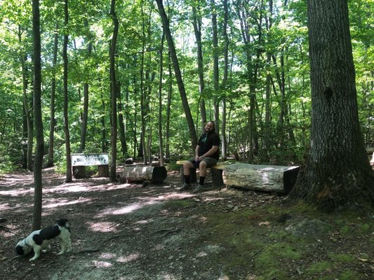 Anita C Leight Estuary Center by null