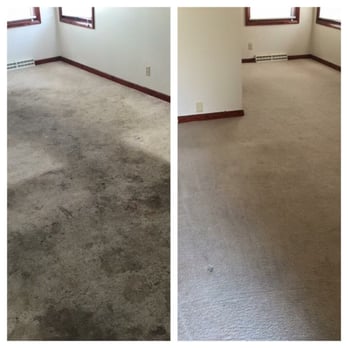 Flawless Carpet Care - Carpet Cleaning Near Me Flawless Carpet Care - Carpet Cleaning Near Me
