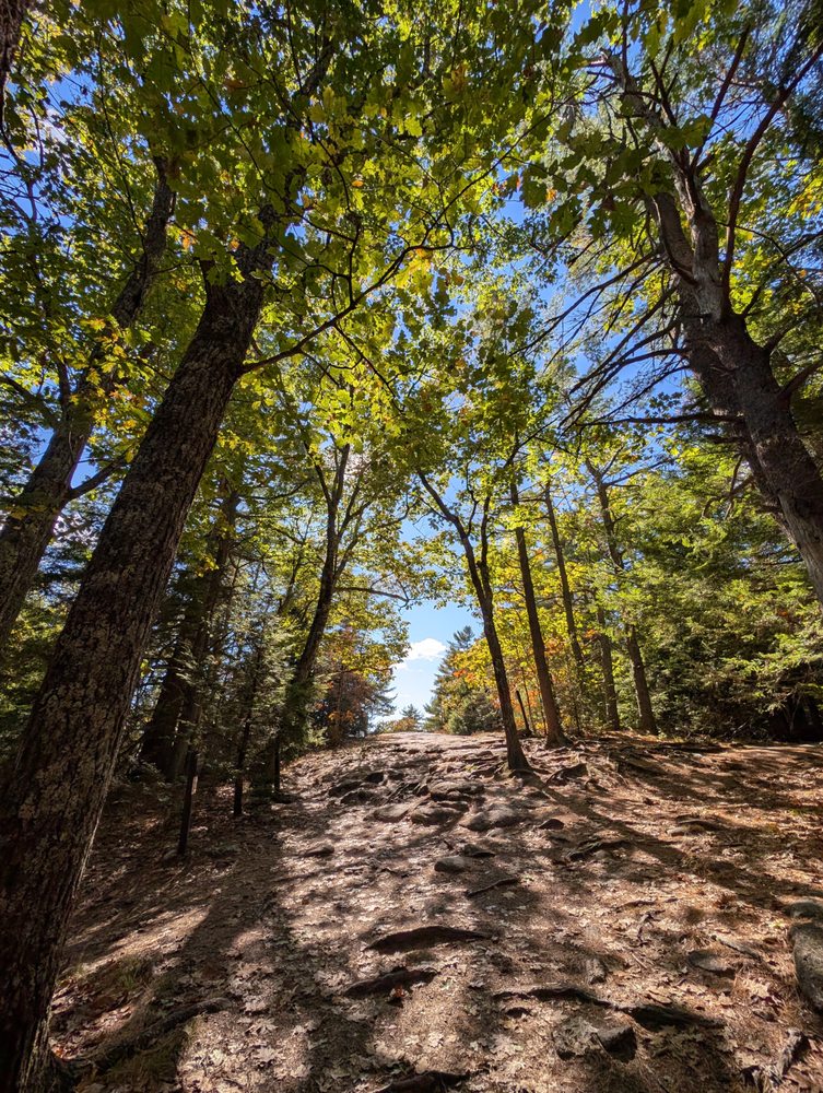 Bradbury Mountain State Park Logo