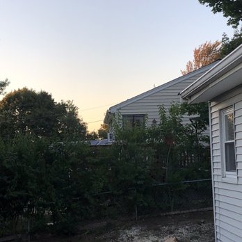 1-2-Tree - Tree Removed - Tree Services Near Me
