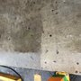 Photo of Alpha 444 Pressure Washing
