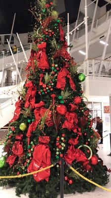 Montreal Forum by null