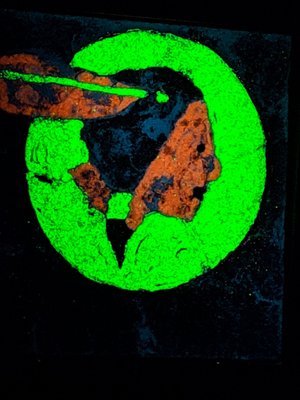 Electric Ladyland - Museum of Fluorescent Art by null