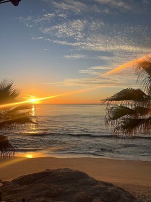 Cabo Surf Hotel & Spa by null