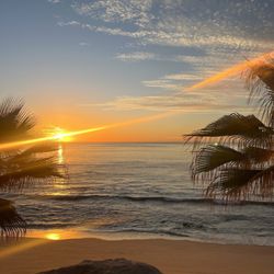 Cabo Surf - Beautiful sunrise from the Surf Hotel