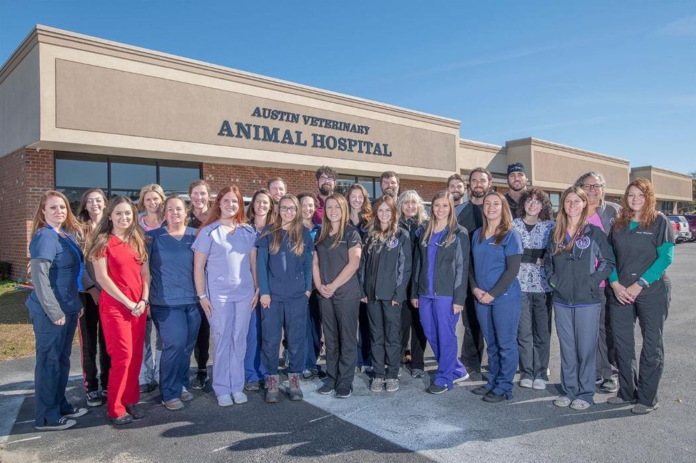 Austin Veterinary Animal Hospital Image