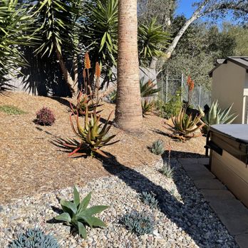 MSE Landscape Professionals - After - Tree Services Near Me - Escondido, California