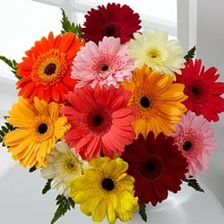 Donnolo's Florist and Gift Baskets