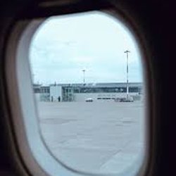 Kiwi Travel